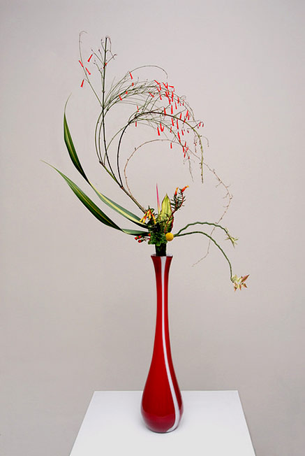 Ikebana - See the Universe in a Single Flower - Magnifissance