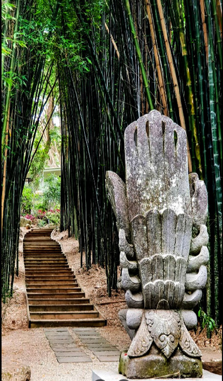 Bamboo walk