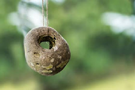 38015214-hag-stone-stone-with-a-natural-hole-as-garden-decoration-or-protection-amulet-blurred-green-backgrou