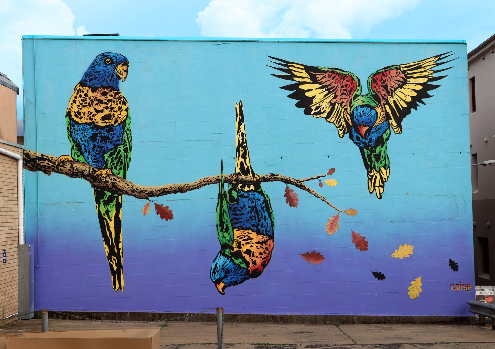 Three-vibrant-Rainbow-Lorikeets---Crisp